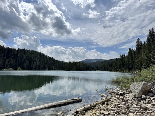 Forest Lake Camping Area