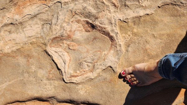Moccasin Mountain Dinosaur Tracksite