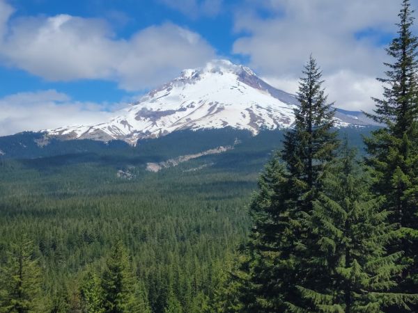 Riverside (mt. Hood National Forest, Or)