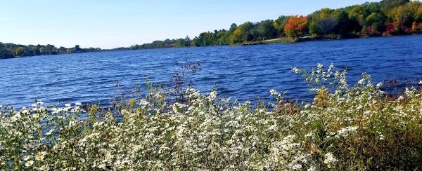 Prairie Rose State Park West Campground