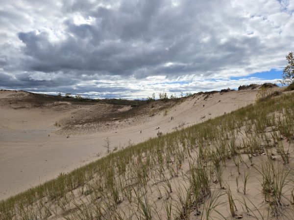 D. H. Day Campground Group Campground