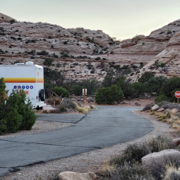 Island in the Sky (Willow Flat) Campground