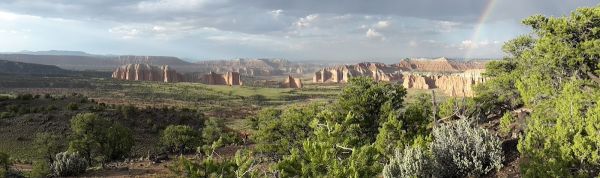 Primitive campsites at Cathedral Campground