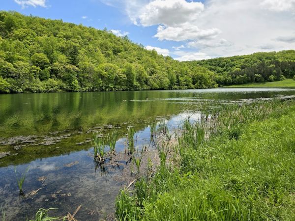 Sidie Hollow County Park Boat Landing Campground