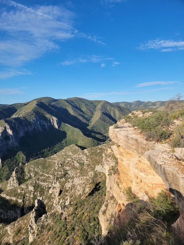 McKittrick Ridge Wilderness Campground