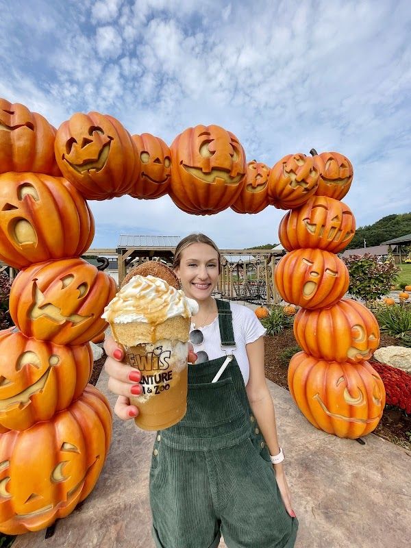 Yogi Bear Jellystone Park Water Zoo