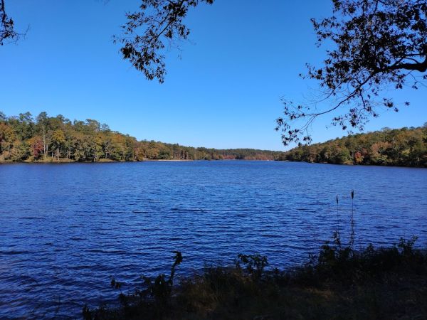 Lake Payne Westside Campground