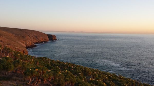 Santa Barbara Island Campground