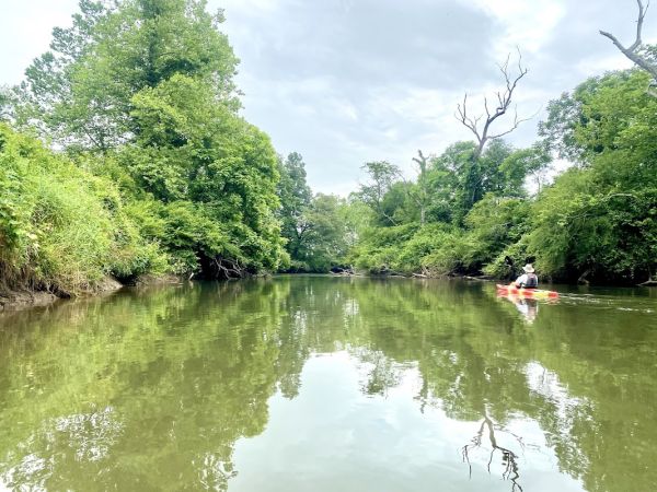 French Broad River Area
