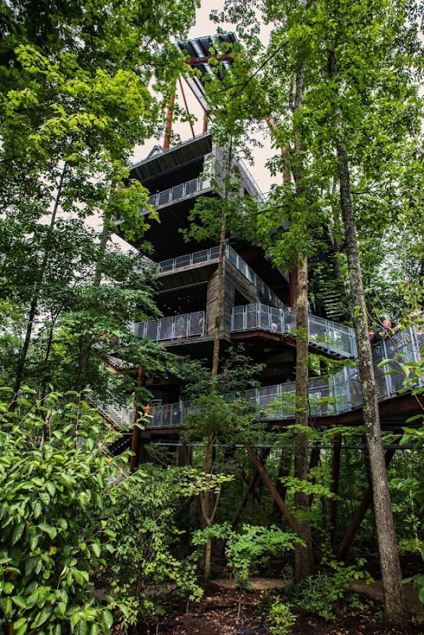 Summit Bechtel Reserve