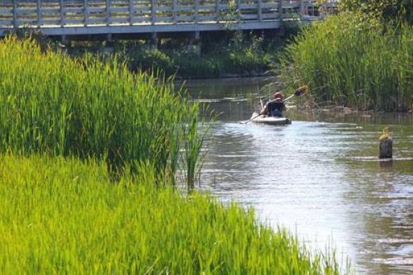 Pere Marquette National Scenic River Watercraft Permits (Huron Manistee)