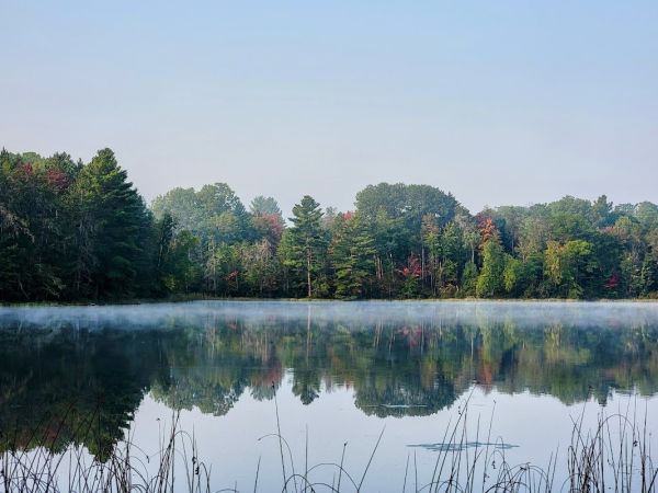 Town Corner Lake State Forest Campground