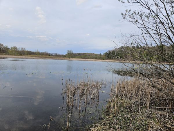 Blacksmith Bayou Campground