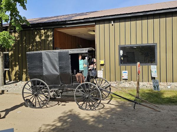 Mecosta Pines Campground