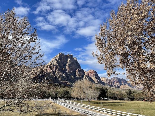 Spring Mountain Ranch State Park