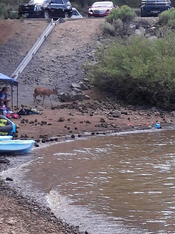 Frenchman lake campground