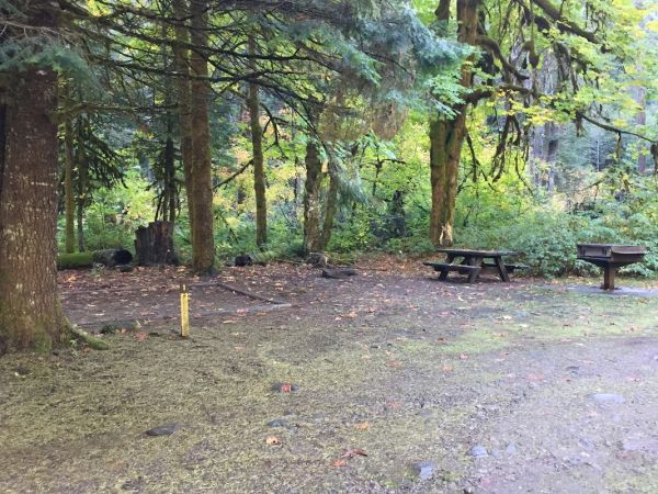 Government Mineral Springs Campground