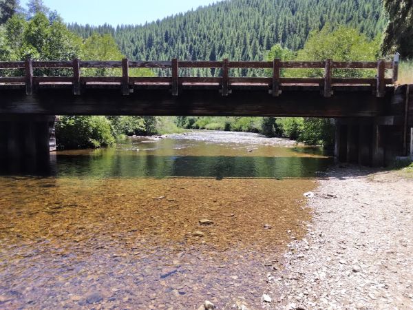 Lolo Creek Campground and Picnic Area
