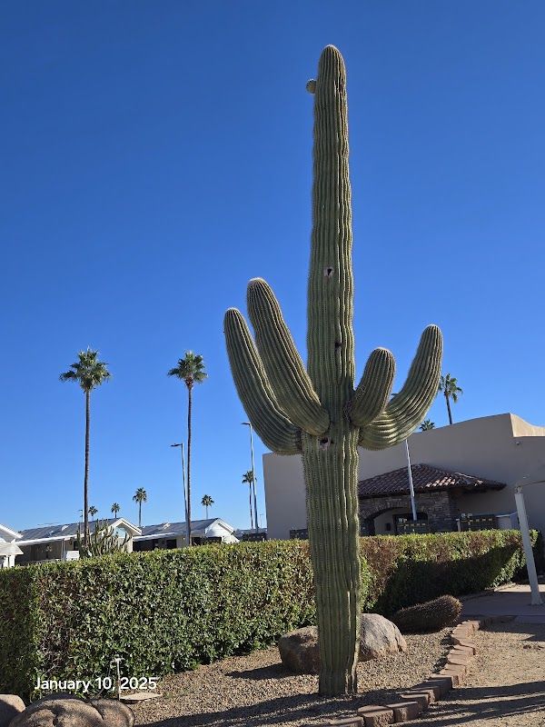 Mesa Spirit RV Resort