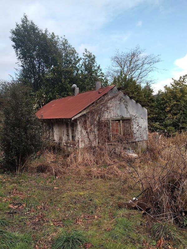 North Fork Siuslaw Campground