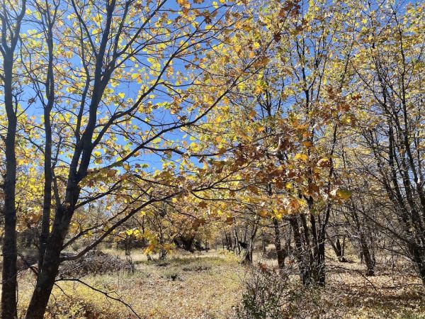 Red Tail Rim Trail South Trailhead/Campground