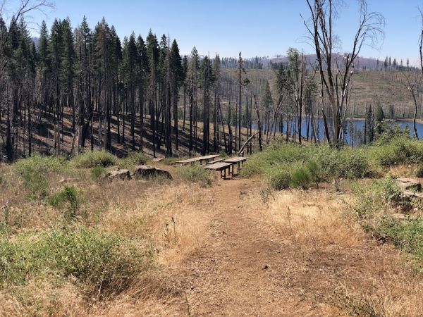 Black Oak Campground