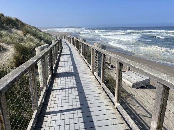 Bodega Dunes Campground