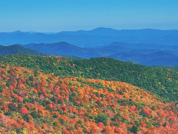 Pisgah National Forest Davidson River