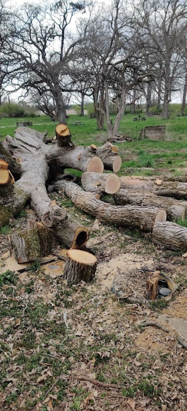 Horseback Campground @ Matthiessen State Park