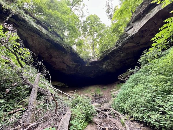 Salt Fork State Park