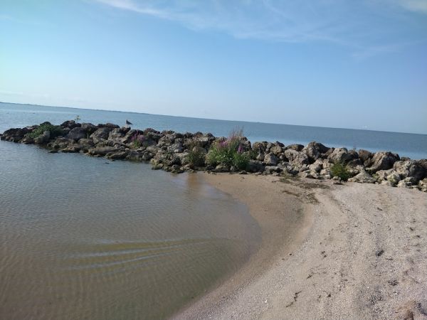 Maumee Bay State Park