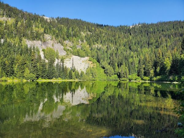Grey Creek Dispersed Camping Area