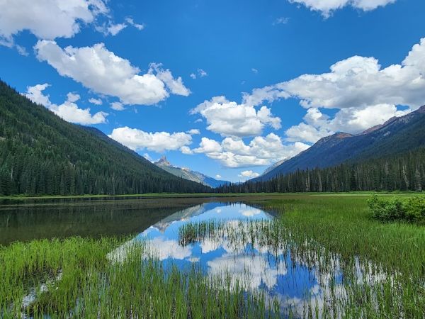 Scatter Creek Trailhead Camping