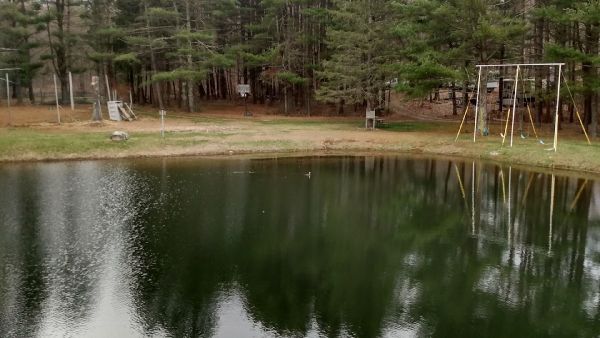 Dyer Woods Nudist Campgrounds