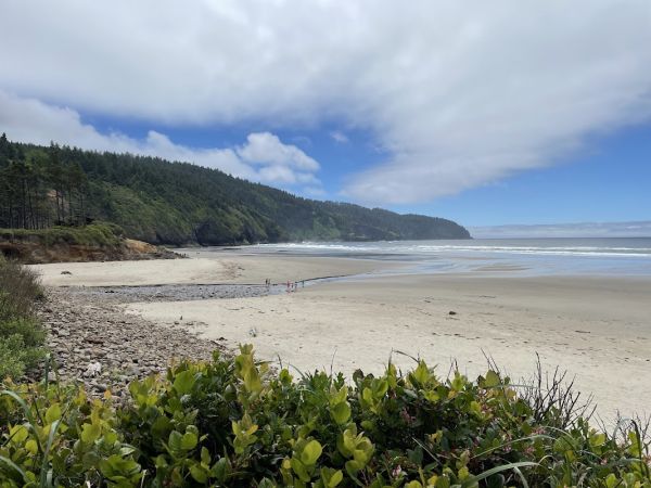 Cape Lookout State Park