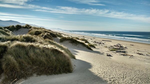 Nehalem Bay State Park