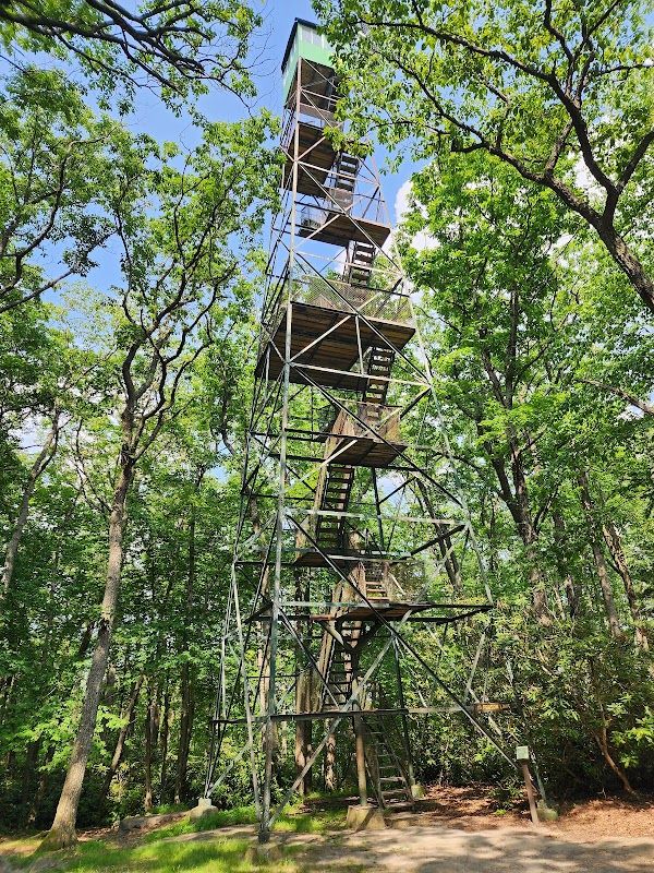 Cook Forest State Park