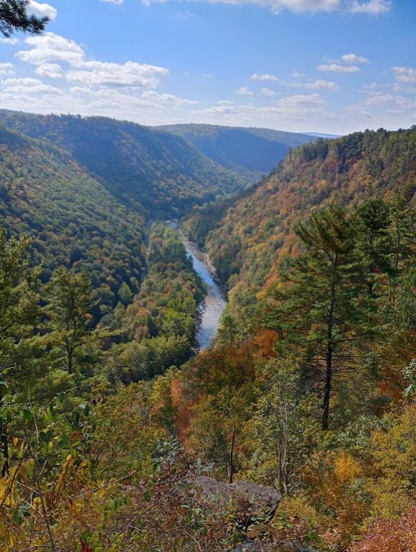 Pine Creek Gorge Colton Point