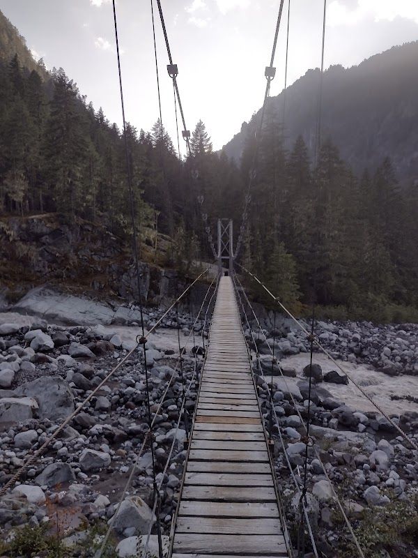 Carbon River Dispersed Roadside Camping