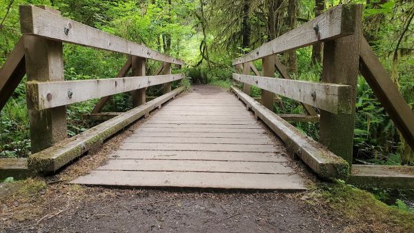 Hoh River Trust Campground