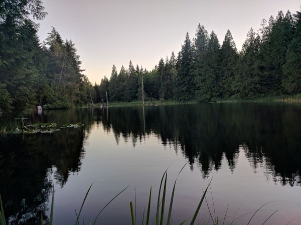 Buck Lake camping