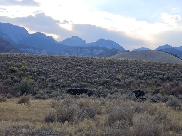Bear Creek Pass Campground