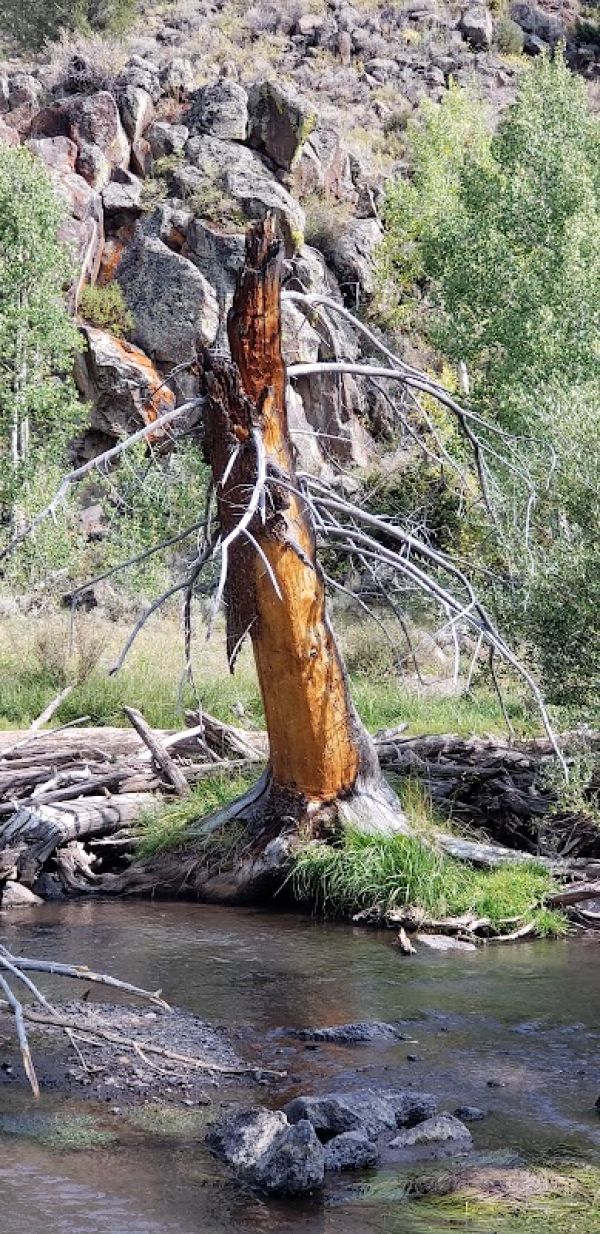 Koosharem Reservoir Dispersed Camping