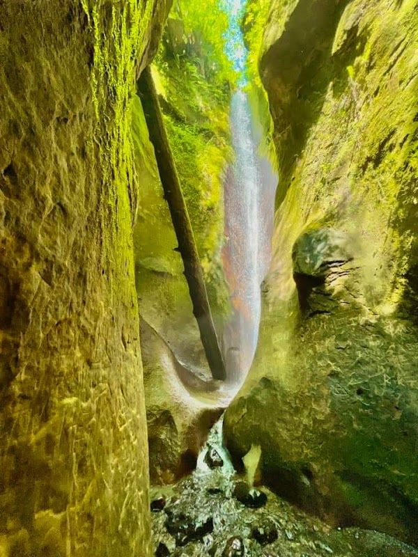East Sombrio Beach Campsite