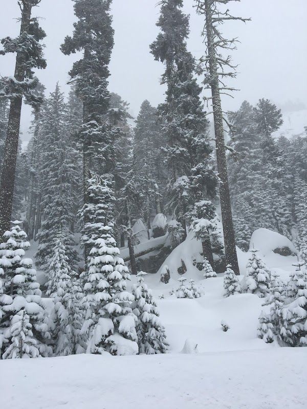 Two Sentinels Girl Scout Camp