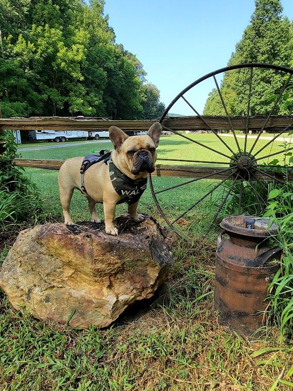 Beautiful Rock Campground