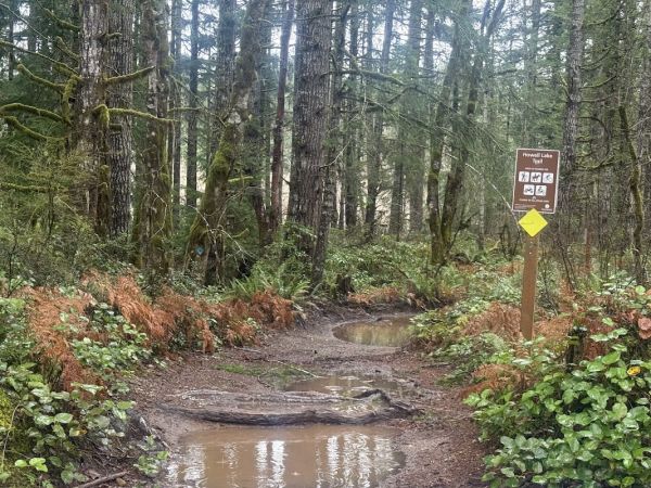 Tahuya River Horse Camp