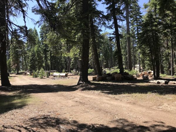 Board Tree Campground