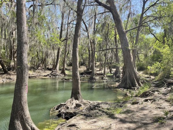 Castroville Regional Park Tent Campsite