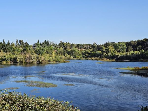 Horseshoe Road Recreation Area & Campground